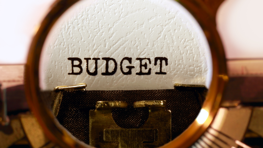 financial literacy budget and forecast concept